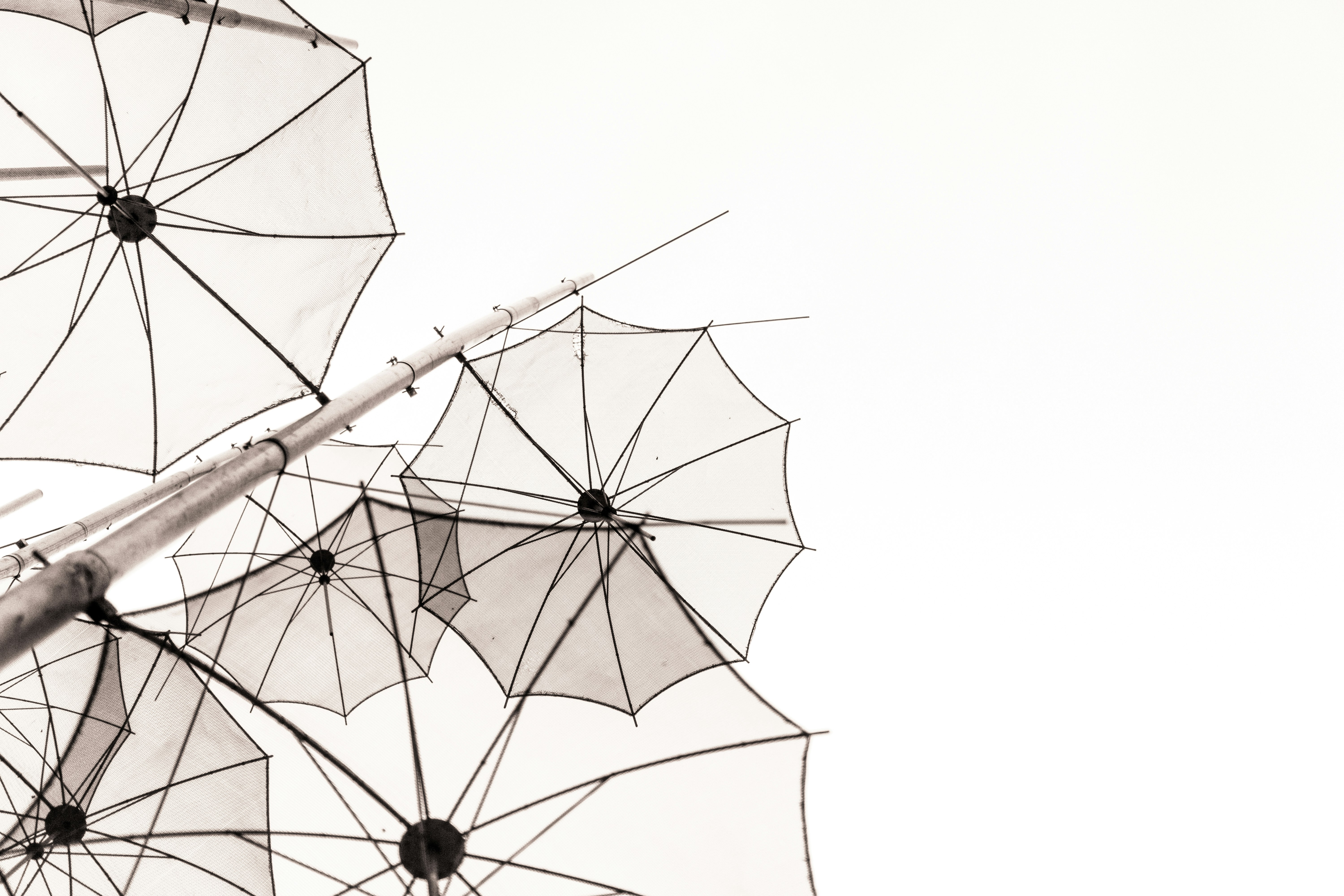 umbrellas outline under white sky at daytime